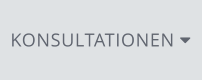 KONSULTATIONEN 